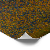Marra Mamba Tiger Eye Poster (Ecke)