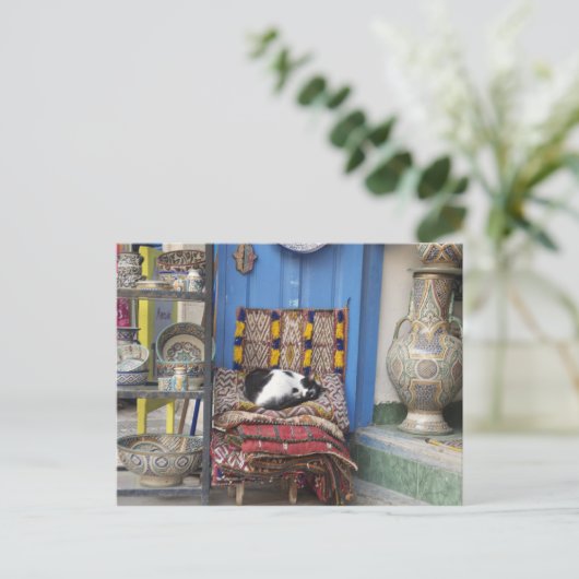 Marrakesh Cat Postkarte (Stehend Vorderseite)