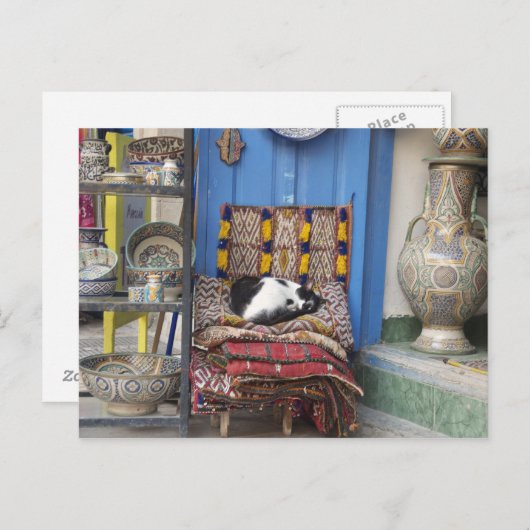 Marrakesh Cat Postkarte (Vorne/Hinten)
