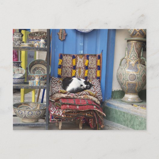 Marrakesh Cat Postkarte (Vorderseite)