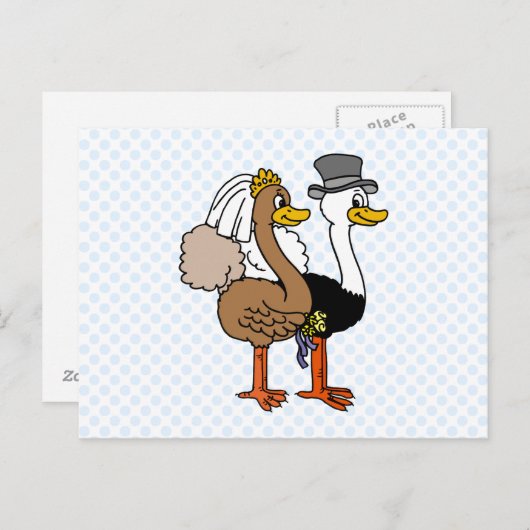 Married Ostrichs Postkarte (Vorne/Hinten)