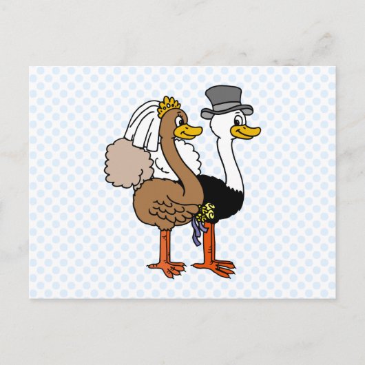 Married Ostrichs Postkarte (Vorderseite)