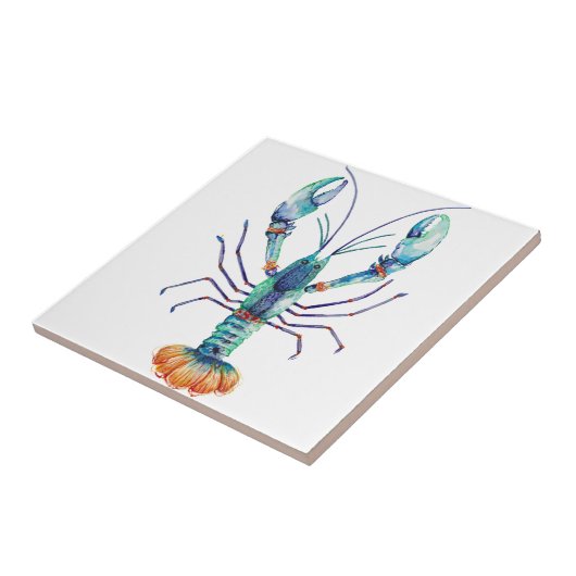 Marron Fliese (Seite)