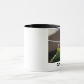 mars1, Conures Felsen! Tasse (Zentrum)
