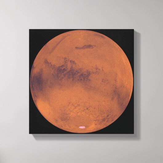 MARS 4 LEINWANDDRUCK (Vorderseite)