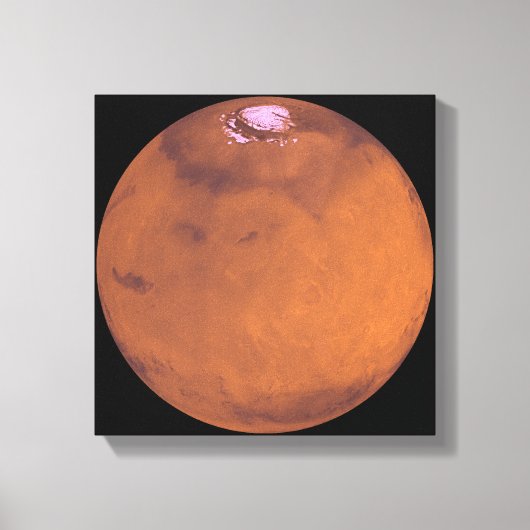MARS 5 LEINWANDDRUCK (Vorderseite)
