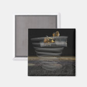 Mars Aufklärungsradar Orbiters Radar bei der Arbei Magnet (Vorderseite/Rückseite)