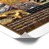 Mar's Boneyard Poster (Ecke)