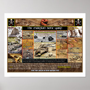 Mar's Boneyard Poster