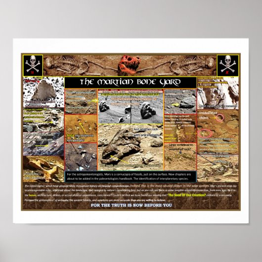 Mar's Boneyard Poster (Vorne)