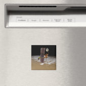 Mars Odyssey-Raumfahrzeug Magnet (In Situ (Geschirrspüler))