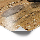 Mars Science Laboratory reist in der Nähe eines Ca Fotodruck (Ecke)