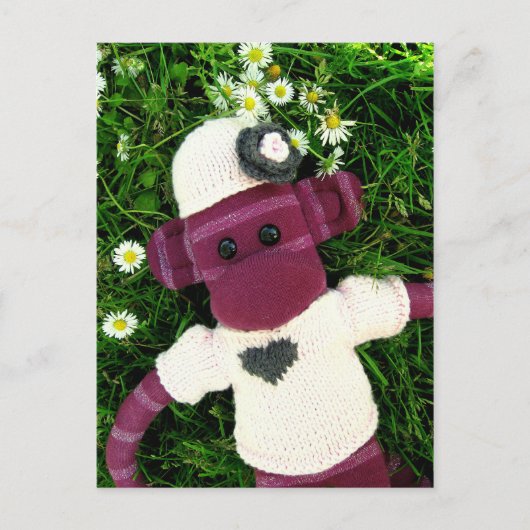 Mars Sock Monkey Post Card - Stella Postkarte (Vorderseite)
