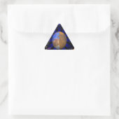 Mars Surveyor '98 Dreieckiger Aufkleber (Tasche)