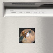 Mars - Telekommunikationsunternehmen 2 Magnet (In Situ (Geschirrspüler))