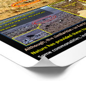 Mars Tierleben Poster (Ecke)