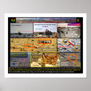 Mars Tierleben Poster