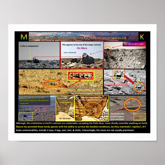 Mars Tierleben Poster (Vorne)