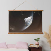 Mars Wissenschaftslabor Aeroshell Kapsel 2 Wandteppich Mit Holzrahmen (Schlafzimmer)