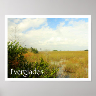 Marsch im Everglades National Park, Florida Poster