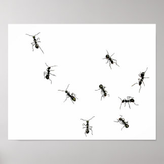 Marschameisen.png Poster