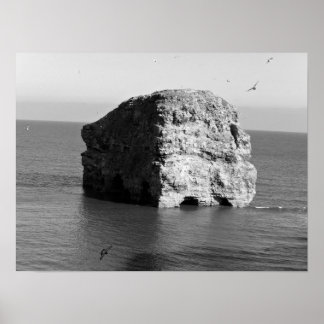 Marsden Rock Poster