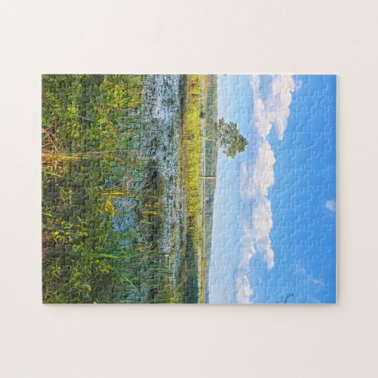 Marsh At Massabesic Puzzle (Horizontal)