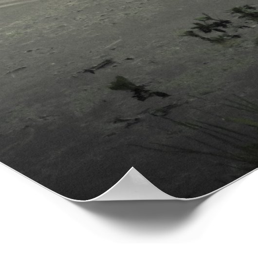 Marsh Bird an der Küste Poster (Ecke)