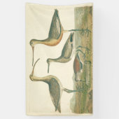 Marsh Bird Curlew Snipe Vogelbeobachtung Banner (Vertikal)