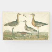 Marsh Bird Curlew Snipe Vogelbeobachtung Banner (Horizontal)