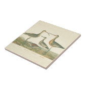 Marsh Bird Curlew Snipe Vogelbeobachtung Fliese (Seite)