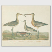 Marsh Bird Curlew Snipe Vogelbeobachtung Geschenkpapier (Flach)