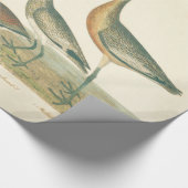 Marsh Bird Curlew Snipe Vogelbeobachtung Geschenkpapier (Ecke)