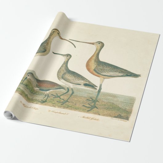 Marsh Bird Curlew Snipe Vogelbeobachtung Geschenkpapier (Ungerollt)