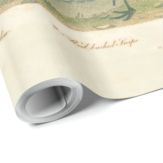 Marsh Bird Curlew Snipe Vogelbeobachtung Geschenkpapier (Rolleneckpunkt)