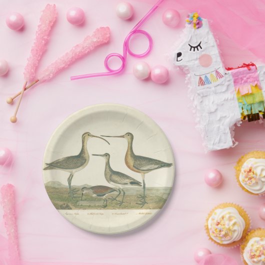 Marsh Bird Curlew Snipe Vogelbeobachtung Pappteller (Party)