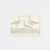 Marsh Bird Curlew Snipe Vogelbeobachtung Post-it Klebezettel (Vorderseite)
