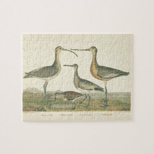 Marsh Bird Curlew Snipe Vogelbeobachtung Puzzle (Horizontal)