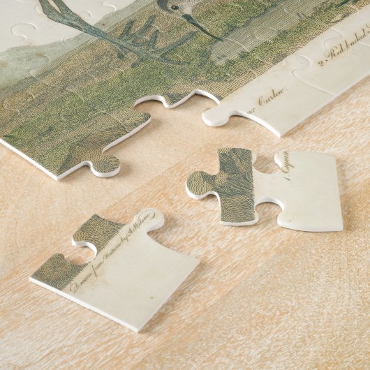 Marsh Bird Curlew Snipe Vogelbeobachtung Puzzle (Seite)