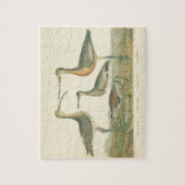 Marsh Bird Curlew Snipe Vogelbeobachtung Puzzle (Vertikal)