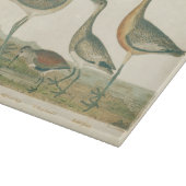 Marsh Bird Curlew Snipe Vogelbeobachtung Schneidebrett (Ecke)