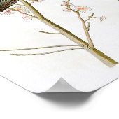 Marsh Blackbird John Audubon Birds of America Poster (Ecke)