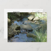 Marsh Creek im Frühjahr Postkarte (Vorne/Hinten)
