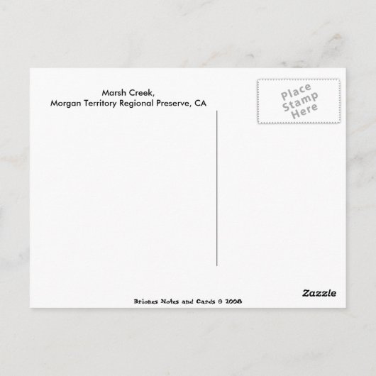 Marsh Creek im Frühjahr Postkarte (Rückseite)