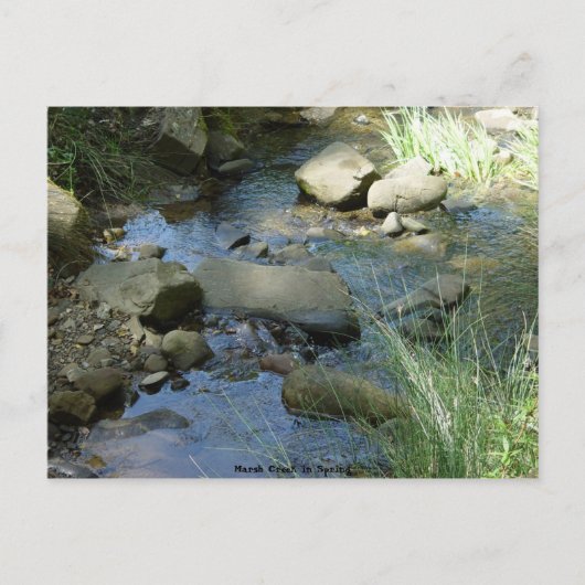 Marsh Creek im Frühjahr Postkarte (Vorderseite)
