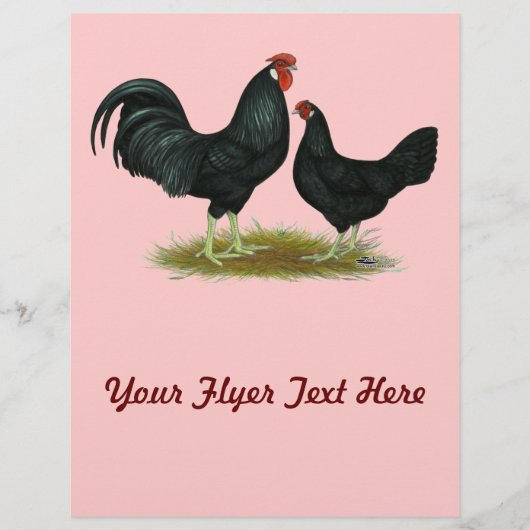 Marsh Daisy Chickens Flyer (Vorne)