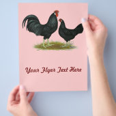 Marsh Daisy Chickens Flyer (Hand)