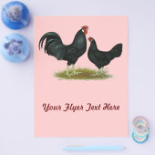 Marsh Daisy Chickens Flyer (Einzeln)