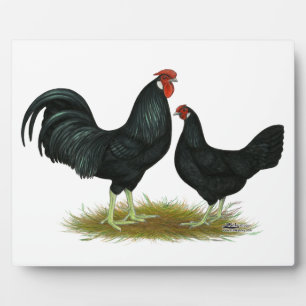 Marsh Daisy Chickens Fotoplatte