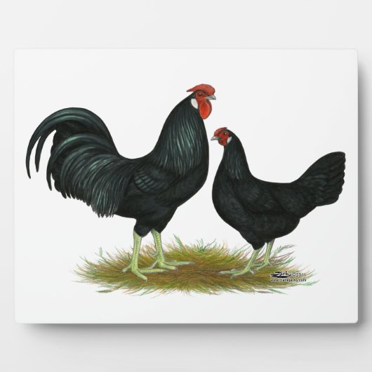 Marsh Daisy Chickens Fotoplatte (Vorderseite)